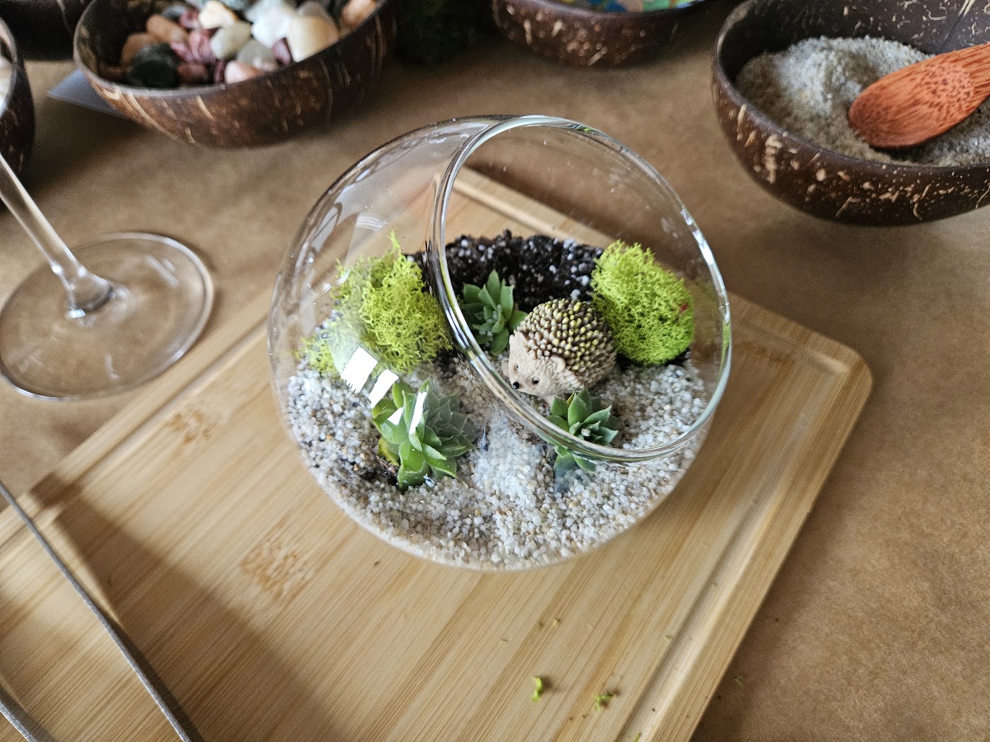 Terrarium
